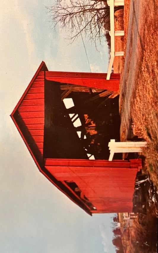 Illinois Covered Bridge near Curran in Sangamon County - Vintage Postcard