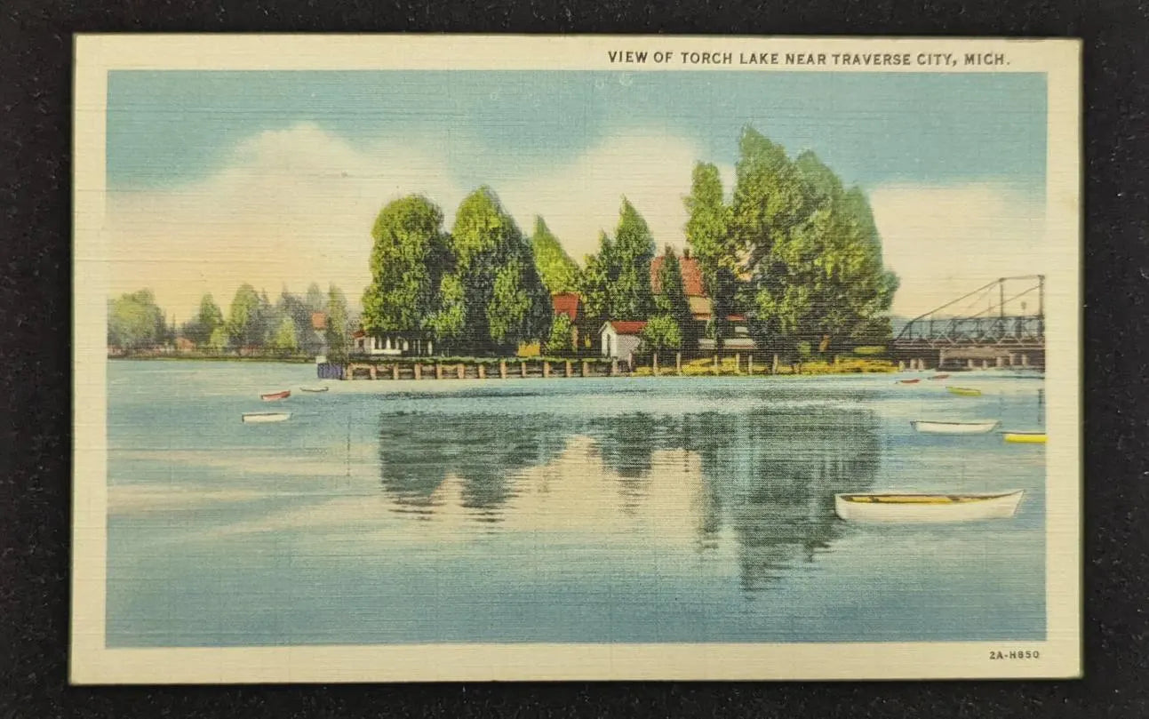 View of Torch Lake Near Traverse City, Michigan - Vintage Scenic Postcard