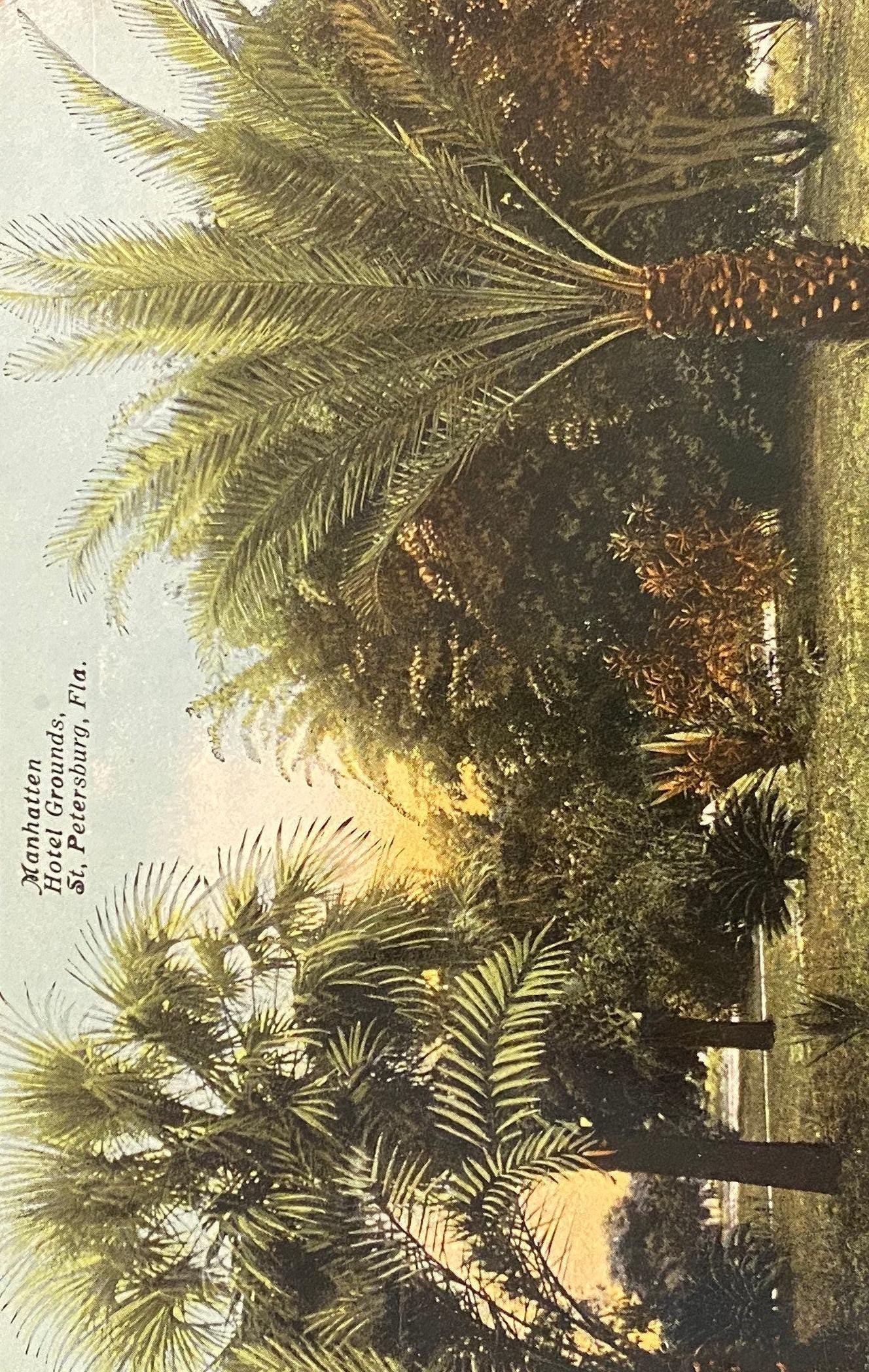 Manhattan Hotel Grounds, St. Petersburg, Florida - Vintage Postcard