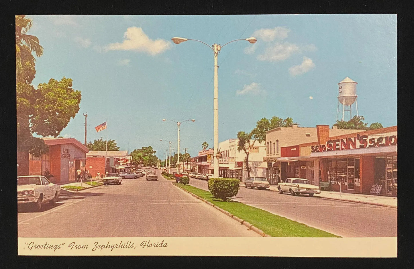 Greetings from Zephyrhills, Florida - Vintage Postcard