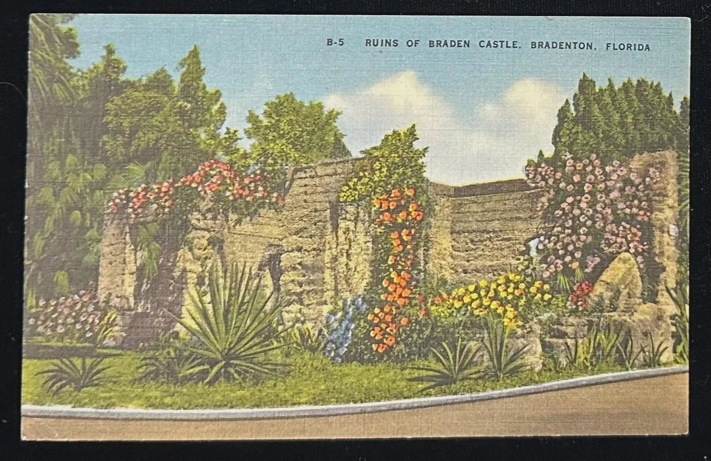 Ruins of Braden Castle, Bradenton, Florida - Vintage Postcard