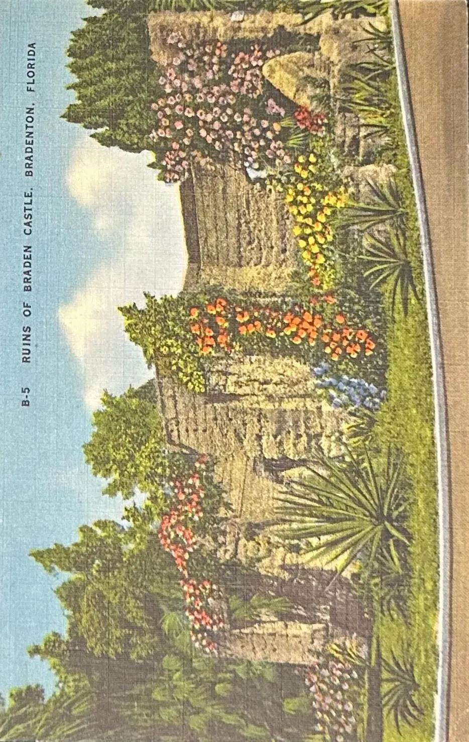 Ruins of Braden Castle, Bradenton, Florida - Vintage Postcard