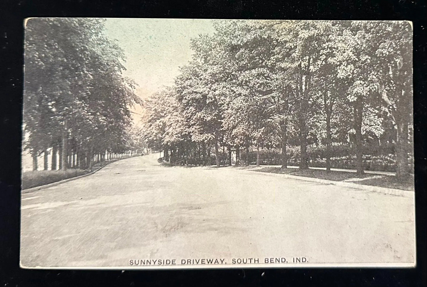 Sunnyside Driveway, South Bend, Indiana - Vintage Postcard