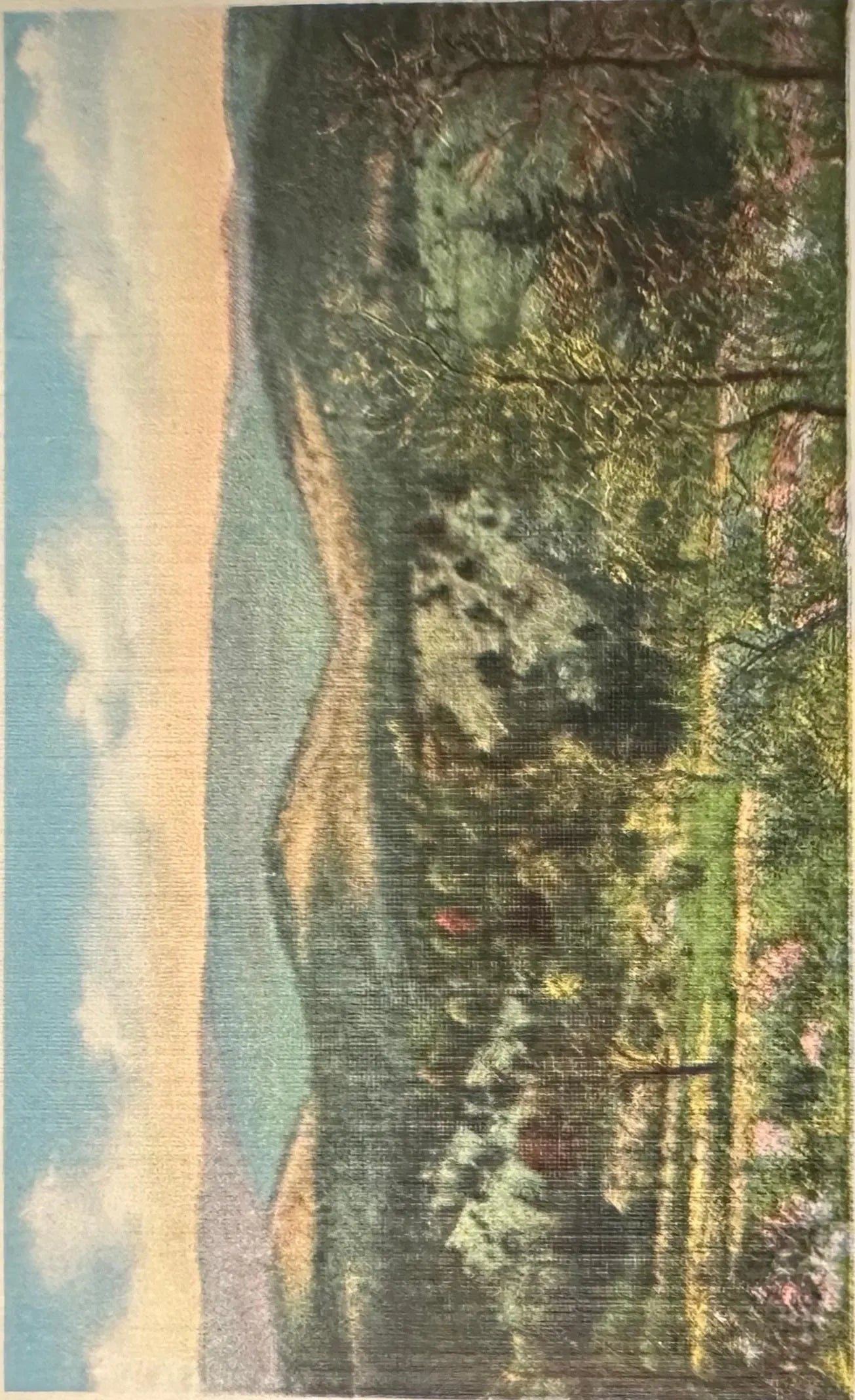Mutton Hollow, Shepherd of the Hills, Branson, Missouri - Vintage Postcard