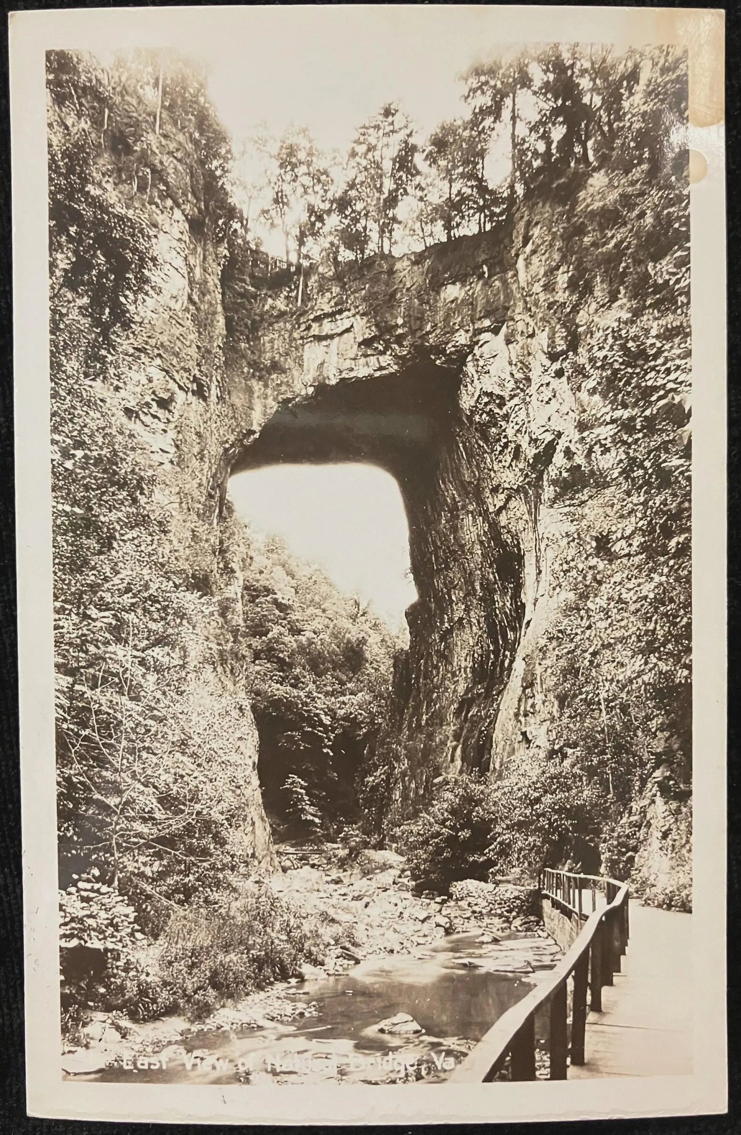 Natural Bridge in Black and White, Virginia - Vintage Scenic Postcard