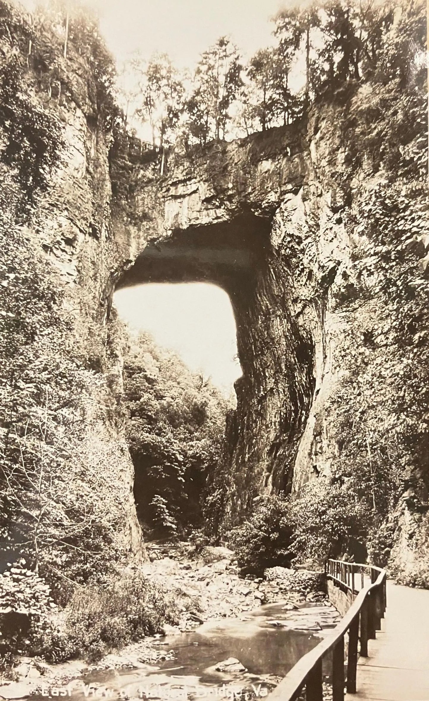 Natural Bridge in Black and White, Virginia - Vintage Scenic Postcard