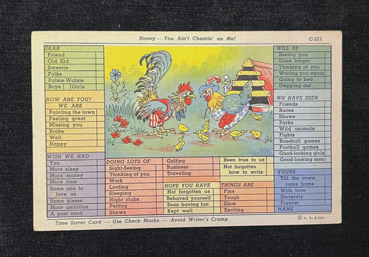 Honey You Ain't Cheating On Me! - Vintage Postcards