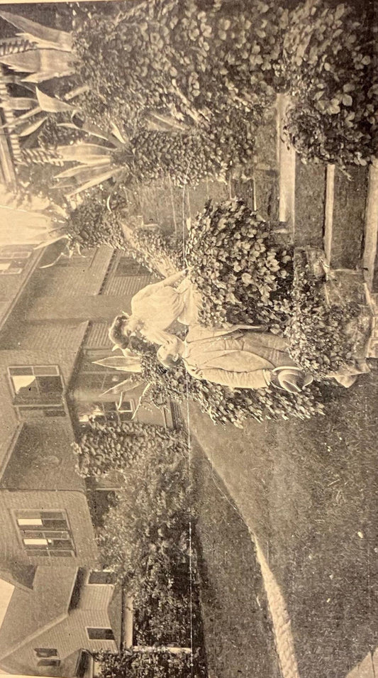 Illustrated Sketch of Latch String shop in Michigan- Vintage Postcard