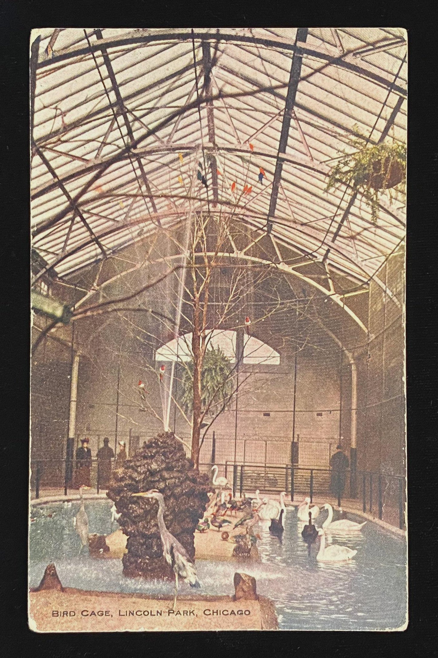 Bird Cage, Lincoln Park, Chicago, Illinois - Vintage 1910s Postcard