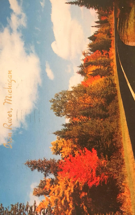 Iron River, Michigan "A Curve in the Road" 1950's - Vintage Postcard