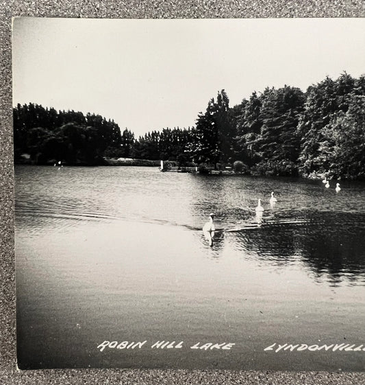 Black and white postcard of Robin Hill Lake, Lyndonville, NY Left portion
