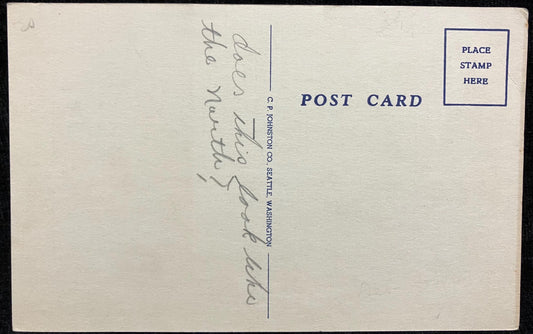 Front: Winter Time in AlaskaBack: BlankUnmailed: Condition: Excellent Publisher: C. P Jonston Co. Color linen