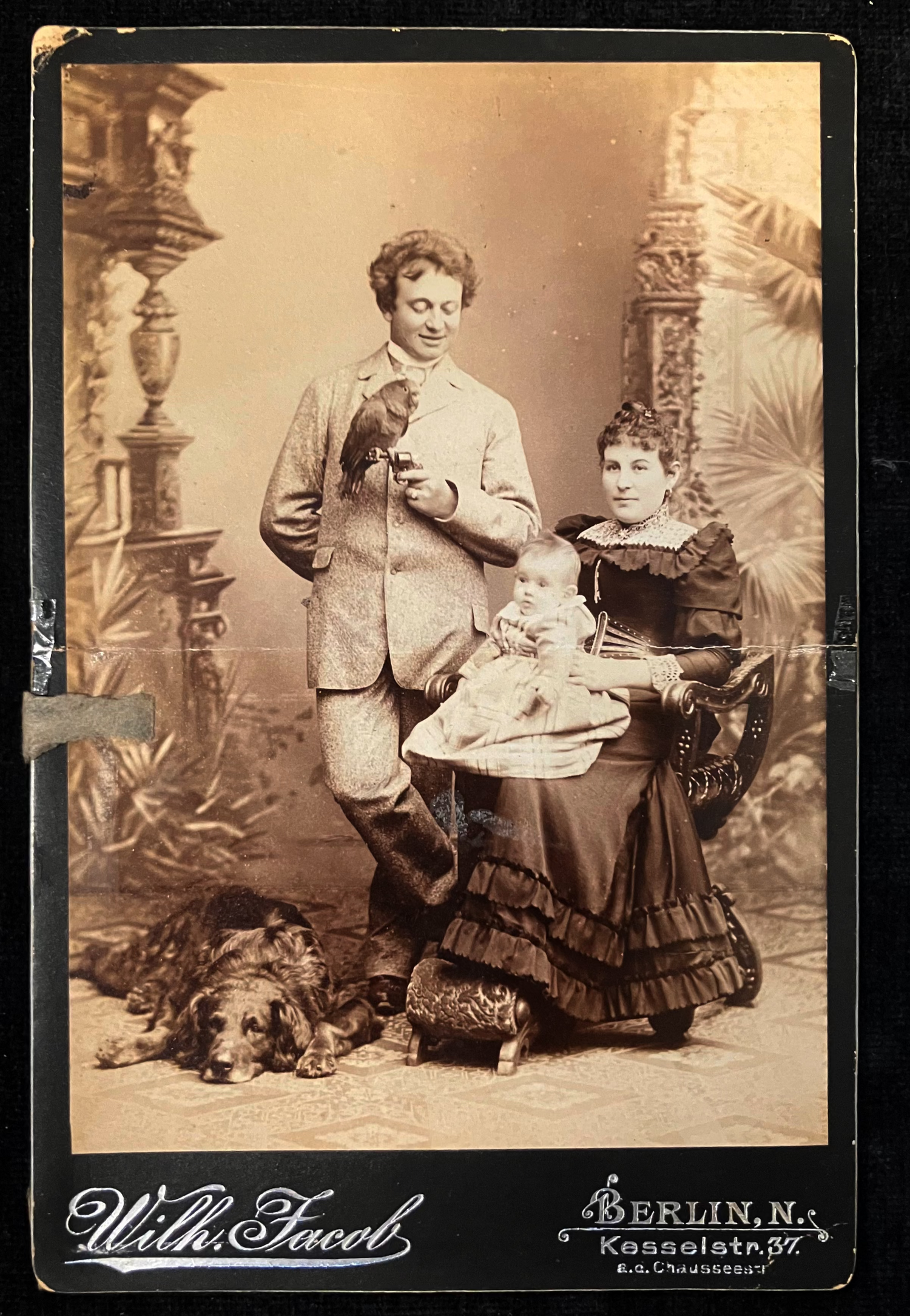 Cabinet Cards