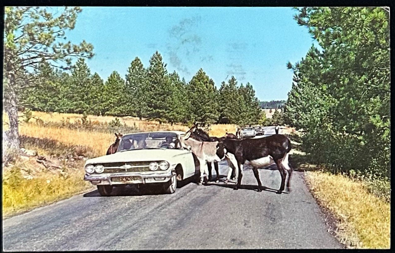 South Dakota