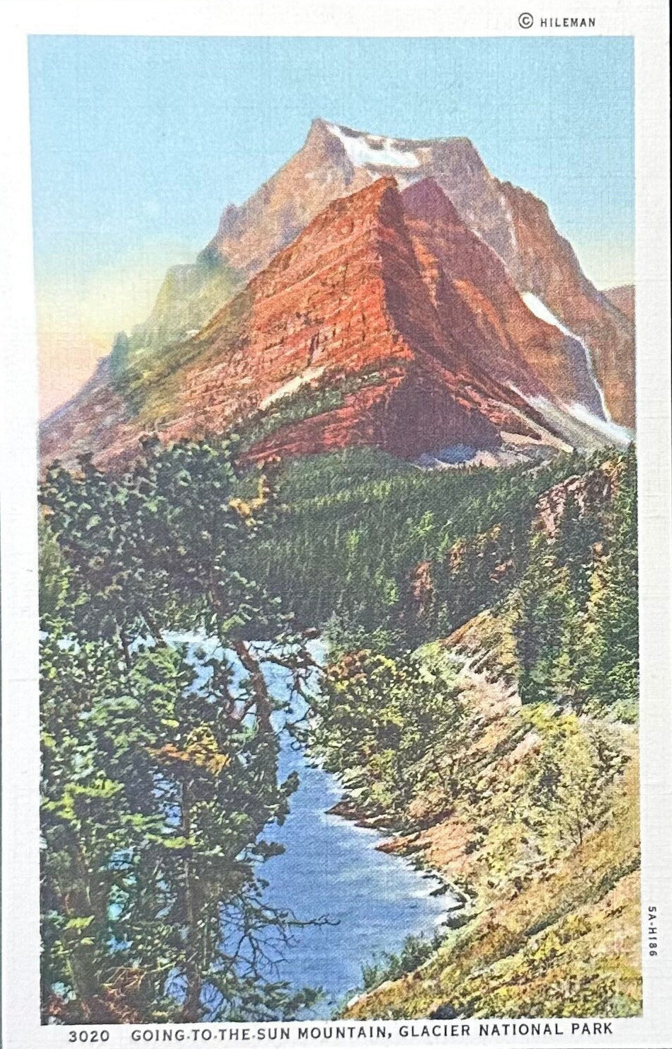 Montana