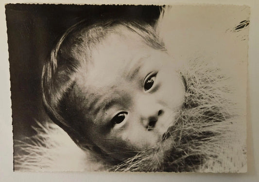 RPPC Back River Indigenous Baby Wrapped In Furs- Eskimo Infant in Fur Wrap Vintage Postcard