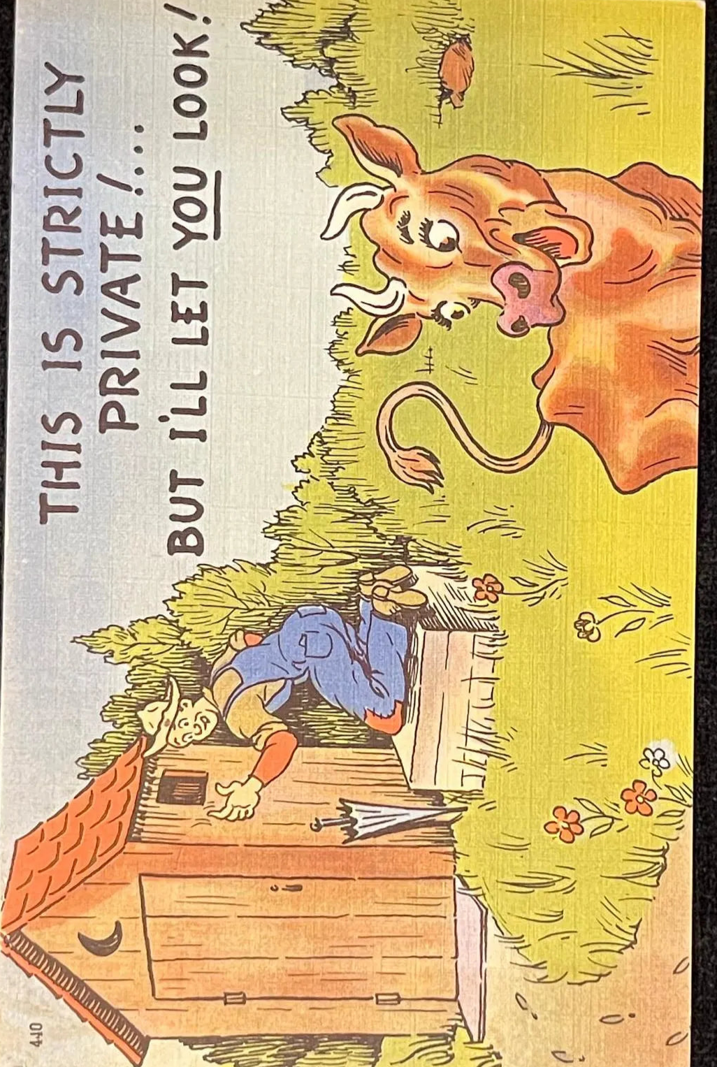 This Is Strictly Private But I'll Let You Look! - Funny Vintage Postcard