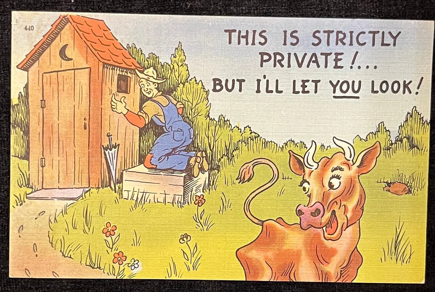 This Is Strictly Private But I'll Let You Look! - Funny Vintage Postcard