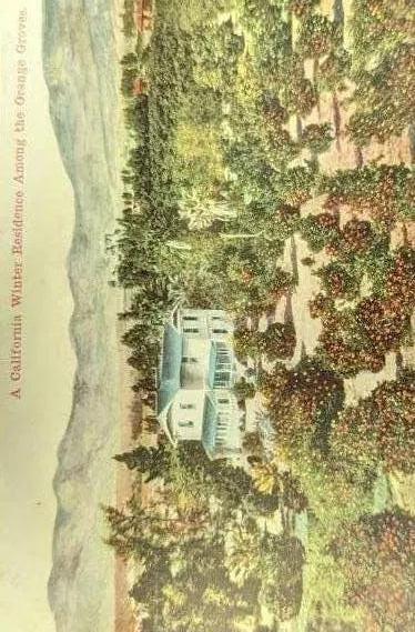 A large House among the Orange Groves, California in 1920 - Vintage California Postcard