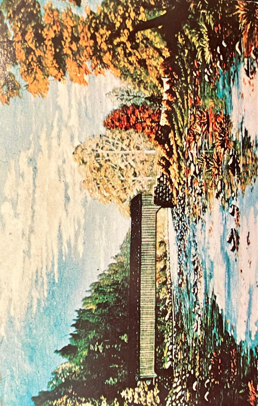 Columbiana County, Ohio - Gaston’s Mill Bridge - Vintage Covered Bridge Postcard