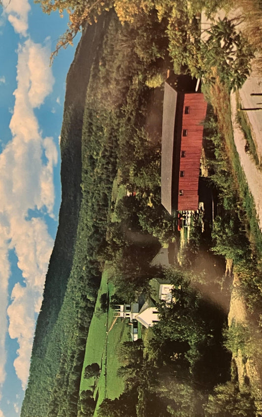 Old Covered Wood Bridge in West Arlington, Vermont - Photo by William Sargent - Vintage Postcard