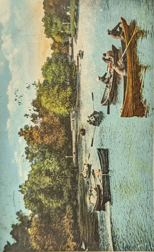 Boating, Rockefeller Park Lake, Cleveland, Ohio - Vintage boating Postcard - Leisure Boating in Cleveland on Hot Days
