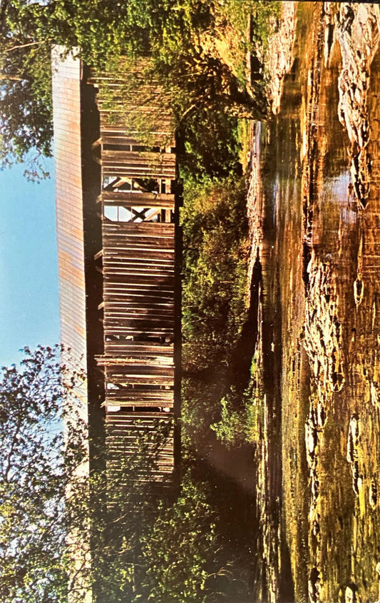 Covered Bridge - Ohio - George Miller Road Bridge - Photo by Anita Knight - Vintage Ohio Covered Bridge Postcard