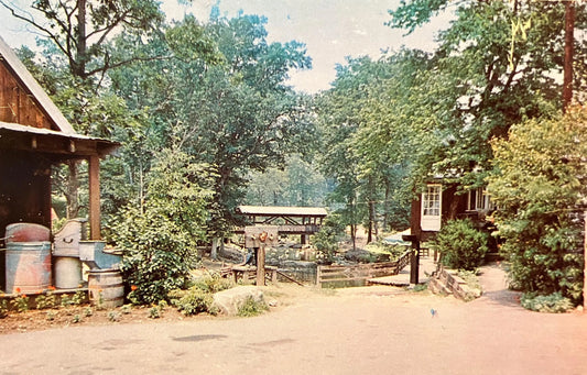 Covered Bridge and Stock - Old MacDonald’s Farm - Norwalk, Connecticut - Photo: Van Dwingelo - Vintage Bridge Postcard