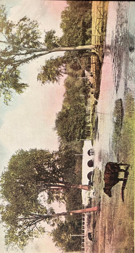On the River Speed, Near Cow’s Bridge - Guelph, Ontario, Canada - Vintage Postcard