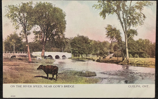 On the River Speed, Near Cow’s Bridge - Guelph, Ontario, Canada - Vintage Postcard