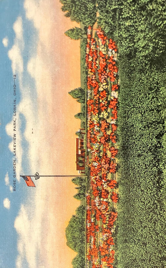 Rose Garden, Lakeview Park, Lorain, Ohio - Vintage Postcard