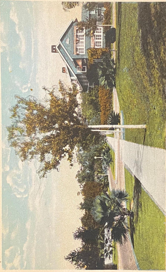 One of the Pretty Streets in Harbor Oaks, Clearwater, Florida - Vintage Postcard
