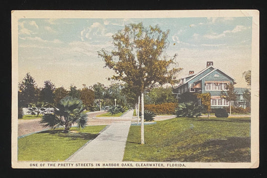 One of the Pretty Streets in Harbor Oaks, Clearwater, Florida - Vintage Postcard