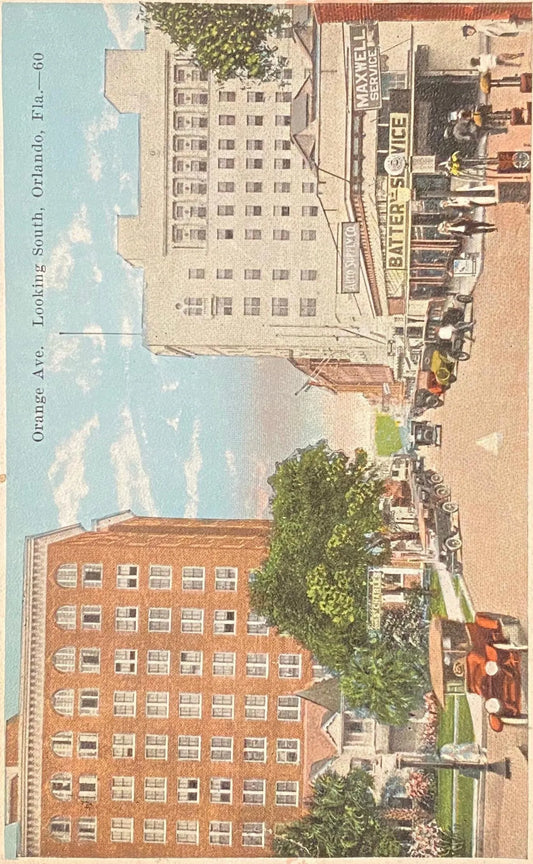 Orange Ave. Looking South, Orlando, Florida - Vintage Postcard