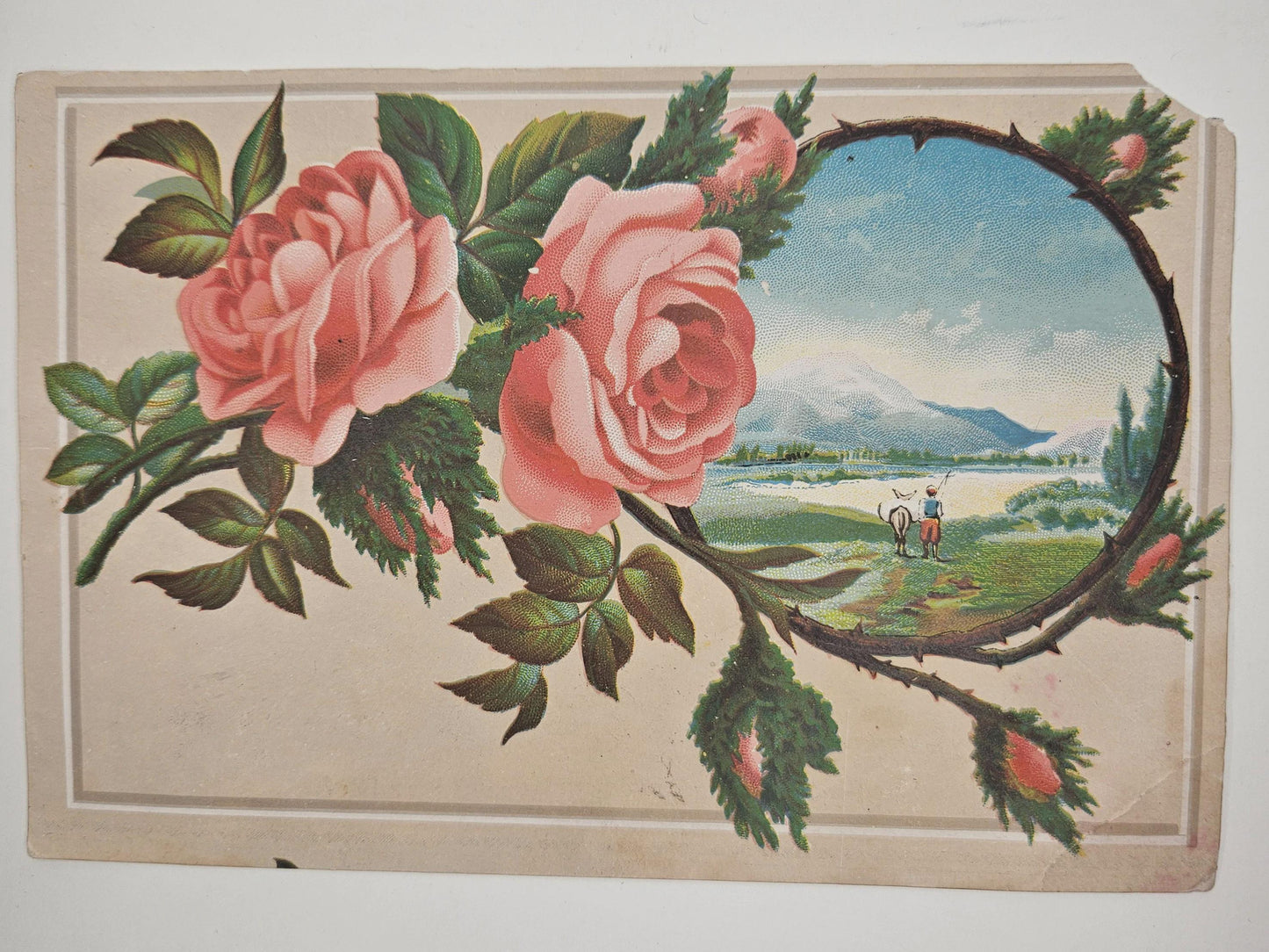 Lion Coffee Advertisement - Woolson Spice Co. Toledo, Ohio - Pink Roses And Mountain Landscape With Lake And Cattle
