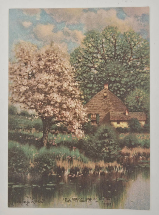 Vintage-style illustration of a house by a lake with cherry blossom tree