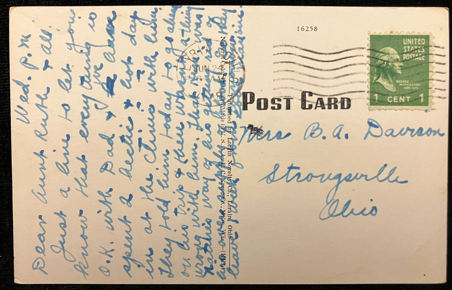 Rose Garden, Lakeview Park, Lorain, Ohio - Vintage Postcard