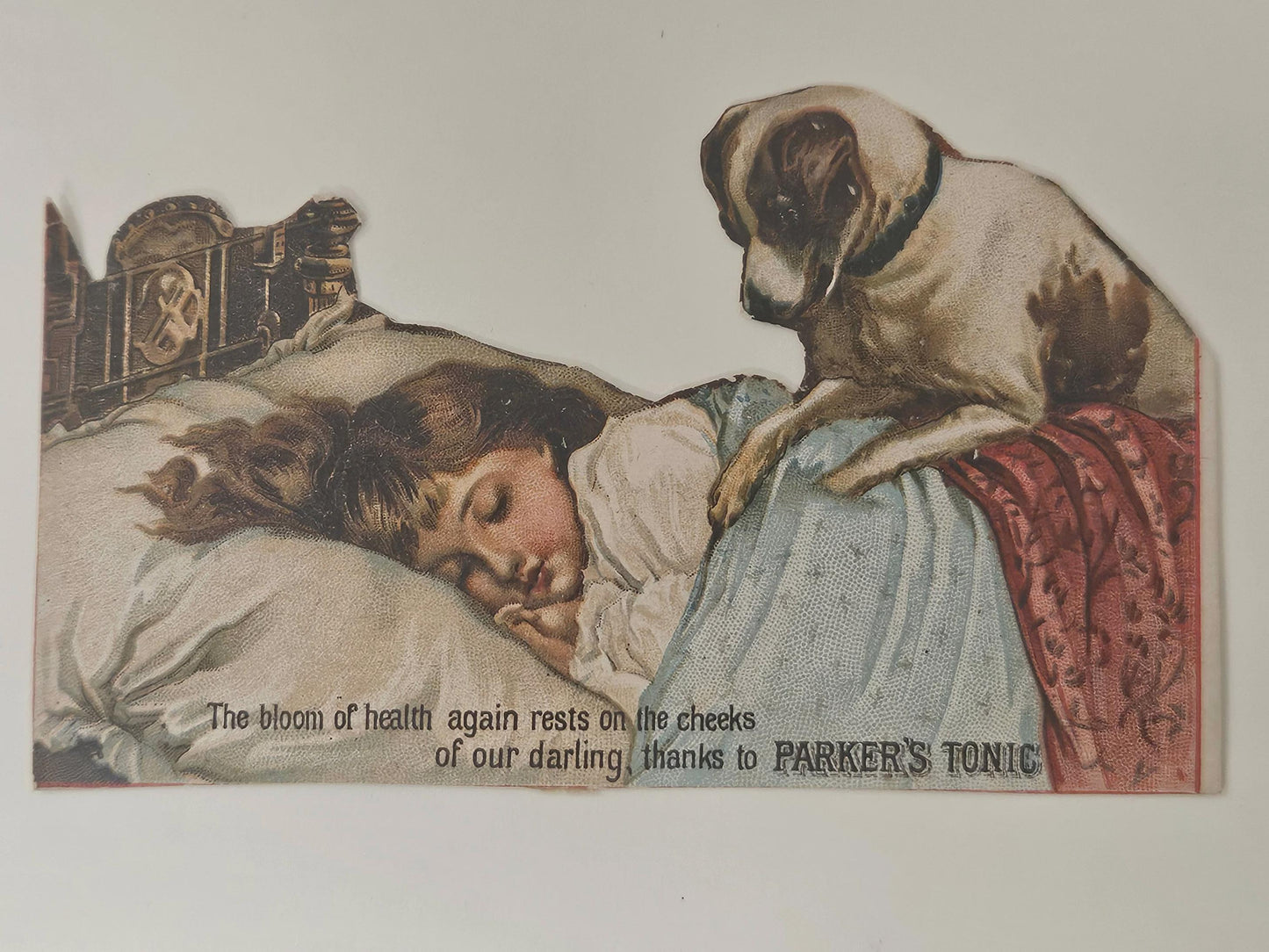 Parker's Tonic Card Advertisement 1880s - Sweet dog waking Child