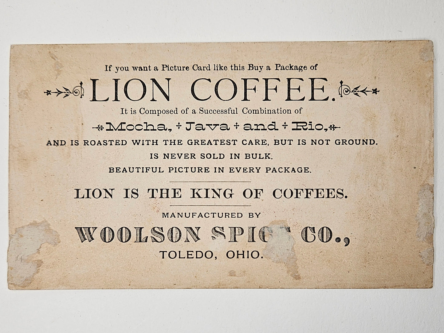 Lion Coffee Trade Card Advertisement - Woolson Spice Co. Toledo, Ohio - Couple Rowing Boat Among Cattails - Romantic Date
