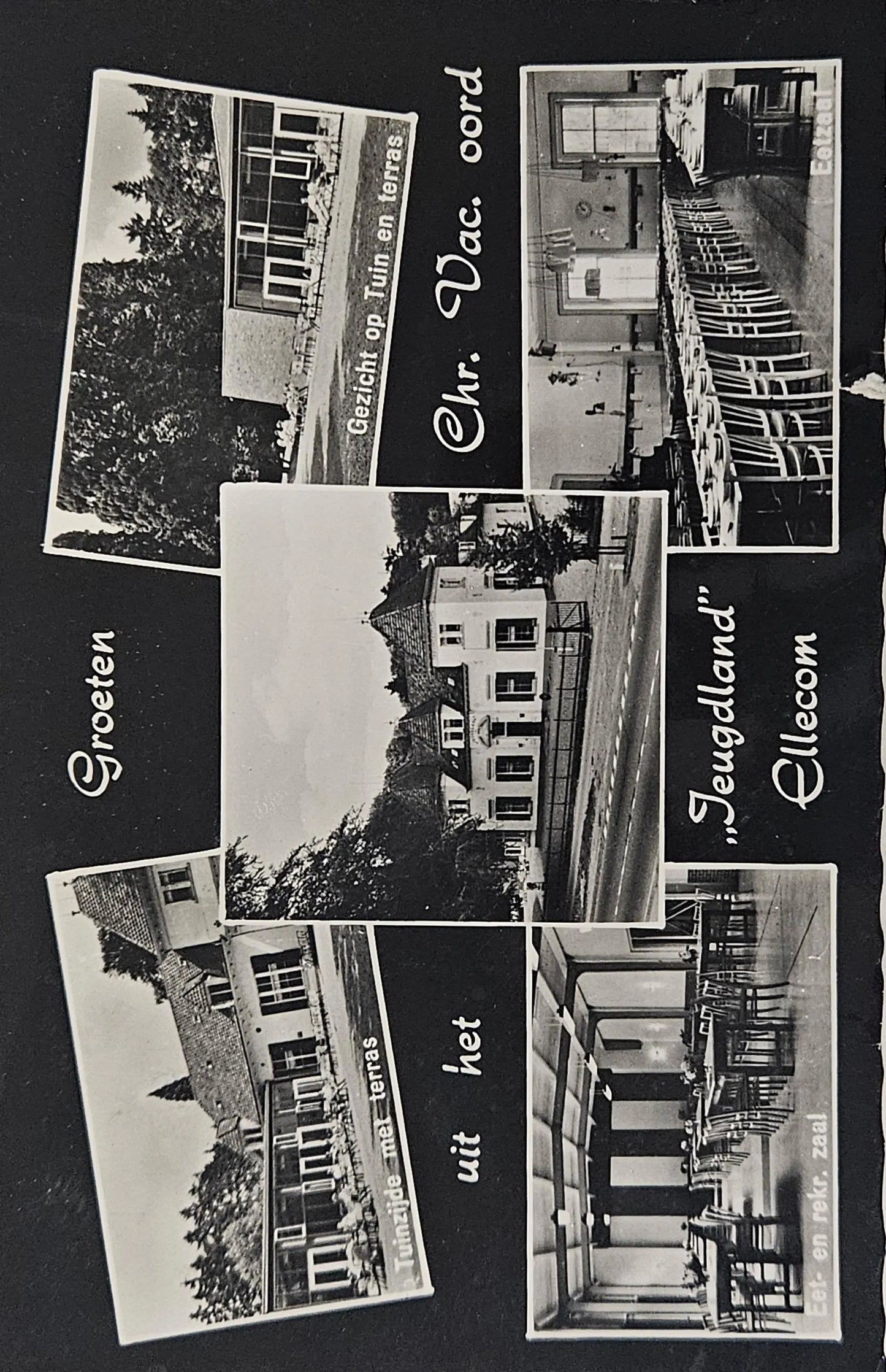 Collage of black and white photographs of buildings and trees on a dark background.