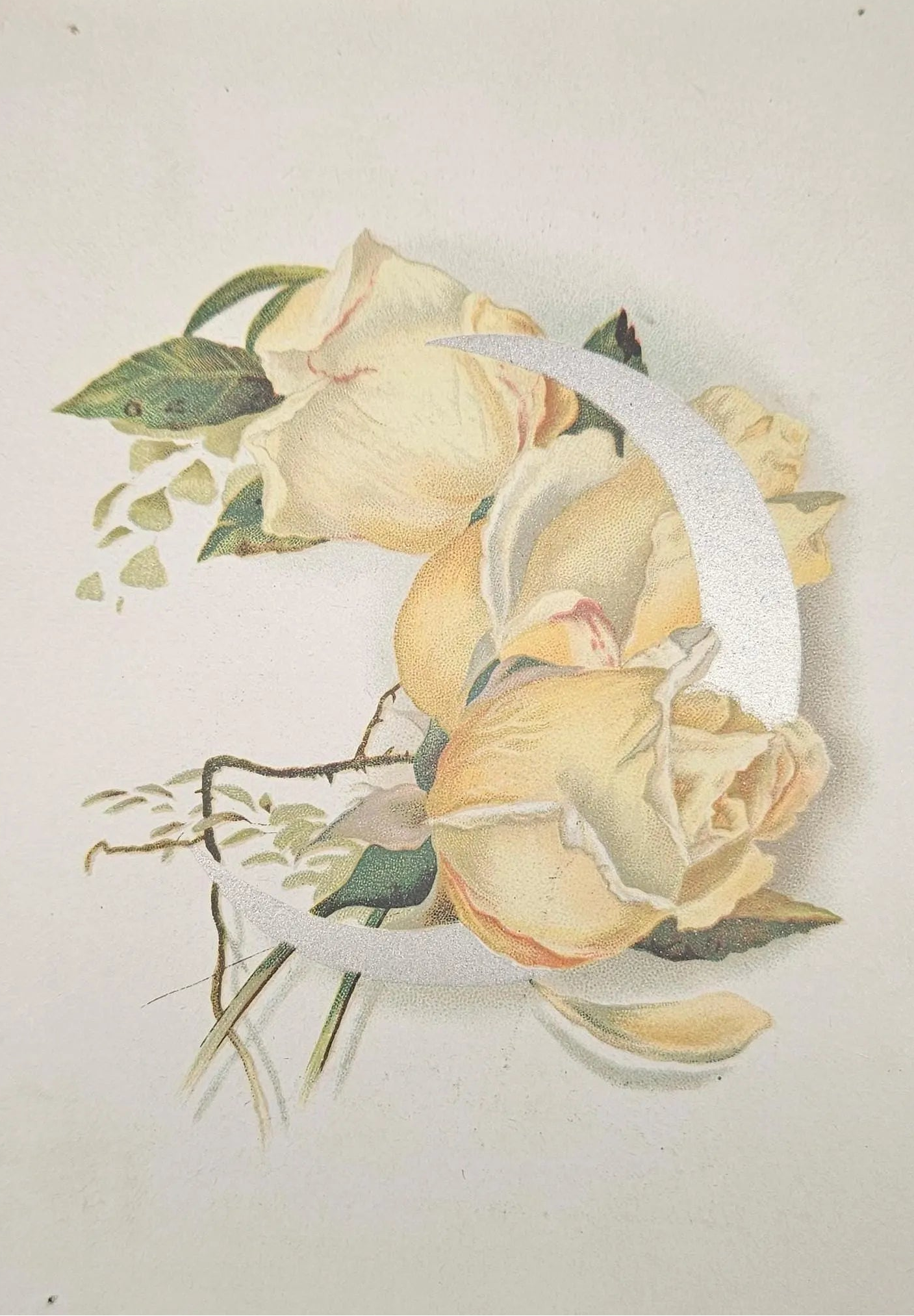 Lion Coffee, Toledo Ohio Trade Card  - Yellow Rose And Silver Metallic Crescent Moon - Advertisement