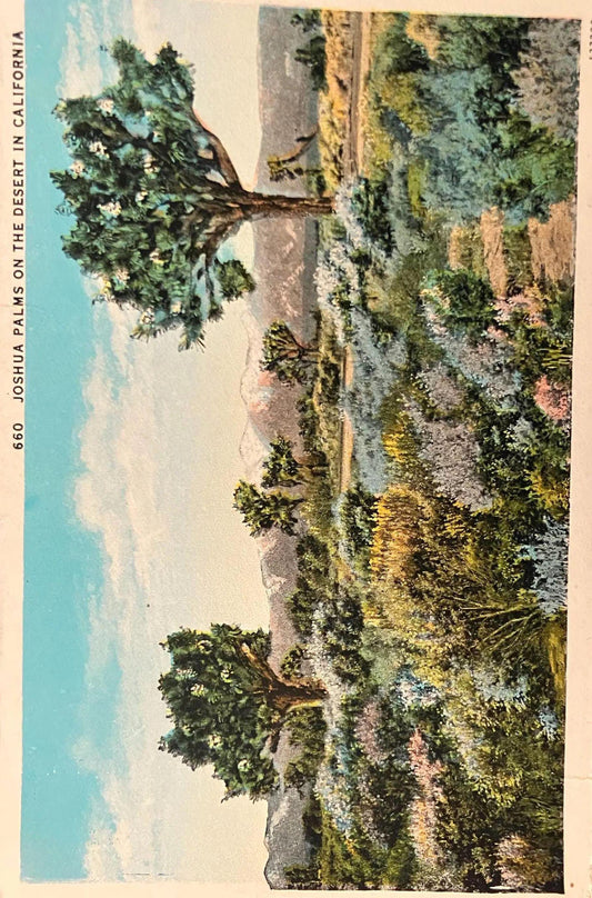 Joshua Palms on the Desert in California - Vintage Desert Postcard - Arid Desert Scene