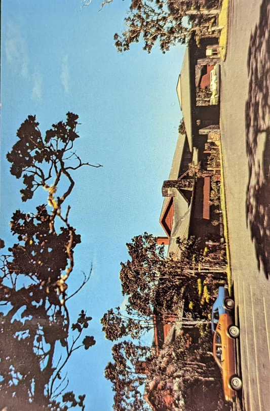 World Famous Volcano House - Hawaii Volcanoes National Park - Vintage Hawaii Postcard