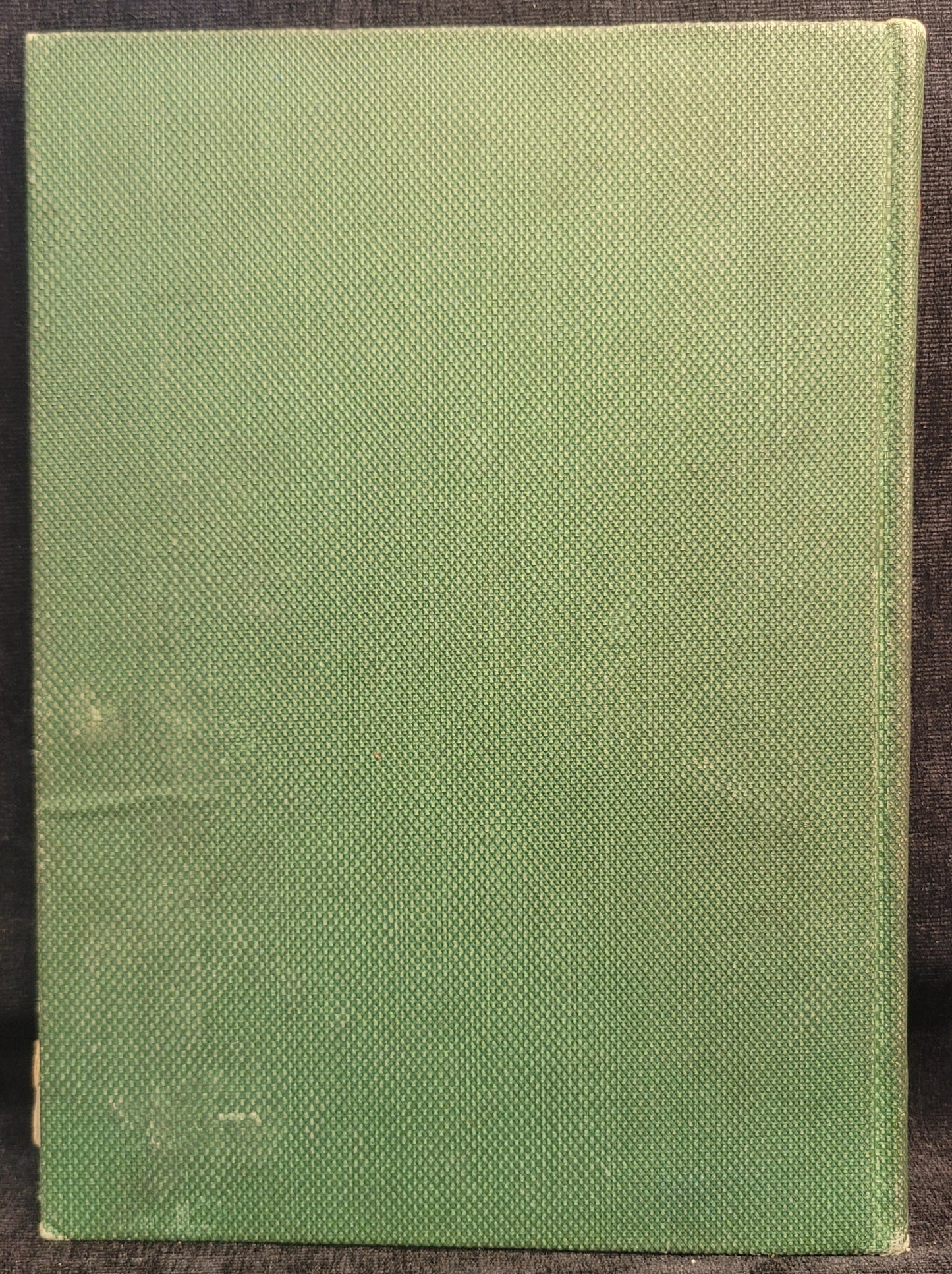 The Little Lame Prince and His Travelling Cloak by Miss Mulock - Illustrations by Hope Dunlap - 1909