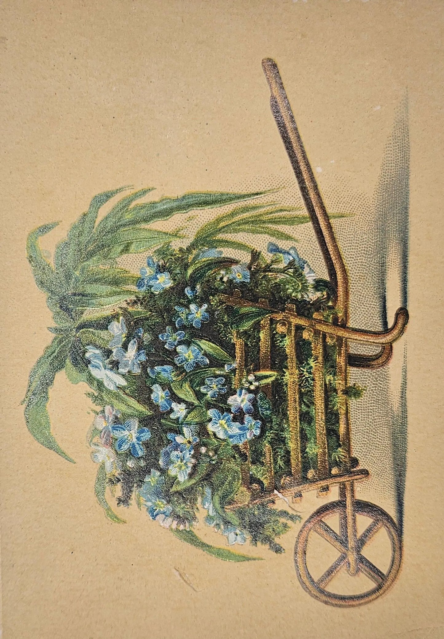 Trade Card for Lion Coffee Woolson Spice Co. Toledo, Ohio - Blue Flowers common in 1900