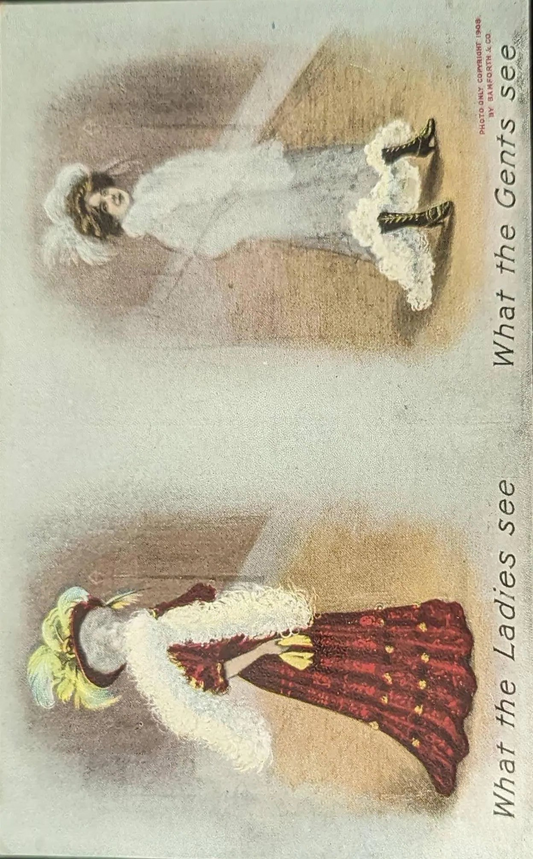 What the Ladies See Versus What the Gents See - Funny Vintage Postcard