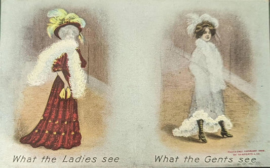 What the Ladies See Versus What the Gents See - Funny Vintage Postcard