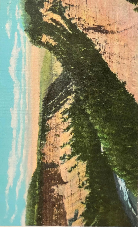Ox-Bow Bend - Letchworth State Park, New York - Vintage Postcard