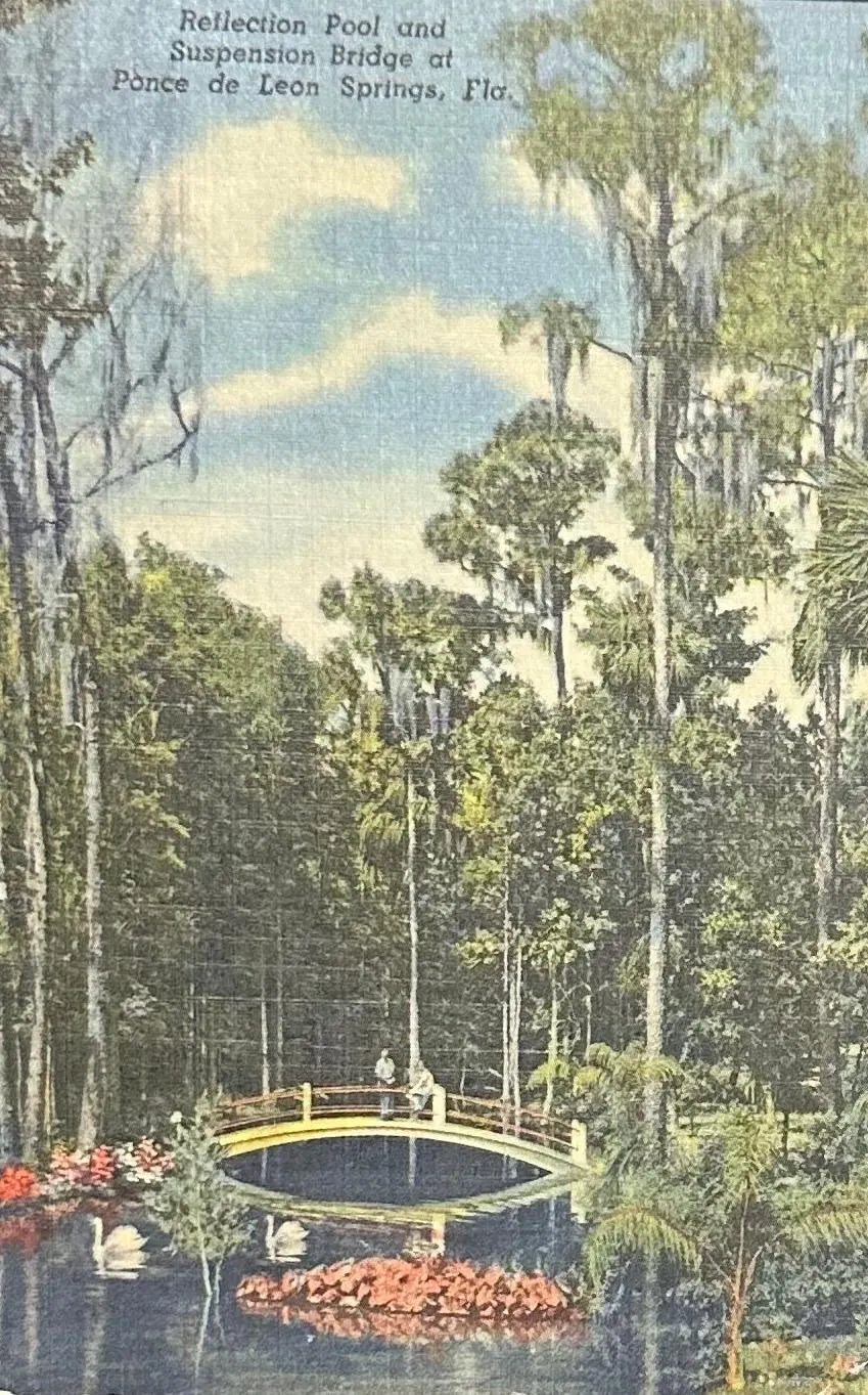 Reflection Pool and Suspension Bridge at Ponce de Leon Springs, Florida - Vintage Postcard