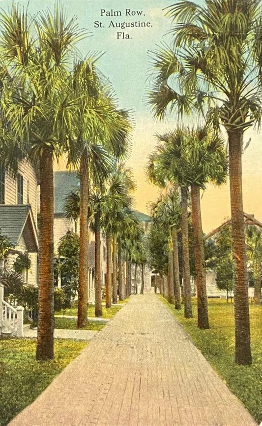 Palm Row, St. Augustine, Florida - Vintage Postcard